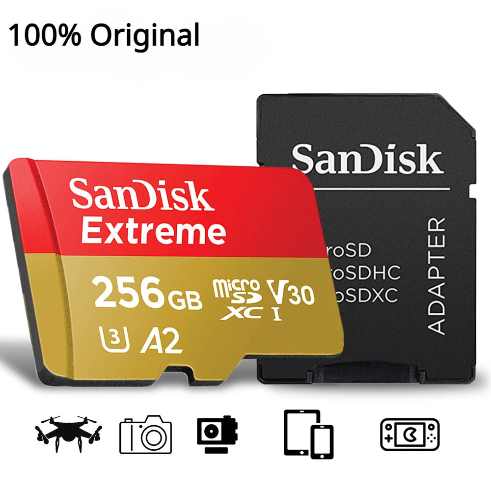 Carte Micro SD SANDISK